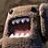 coyotes_uk